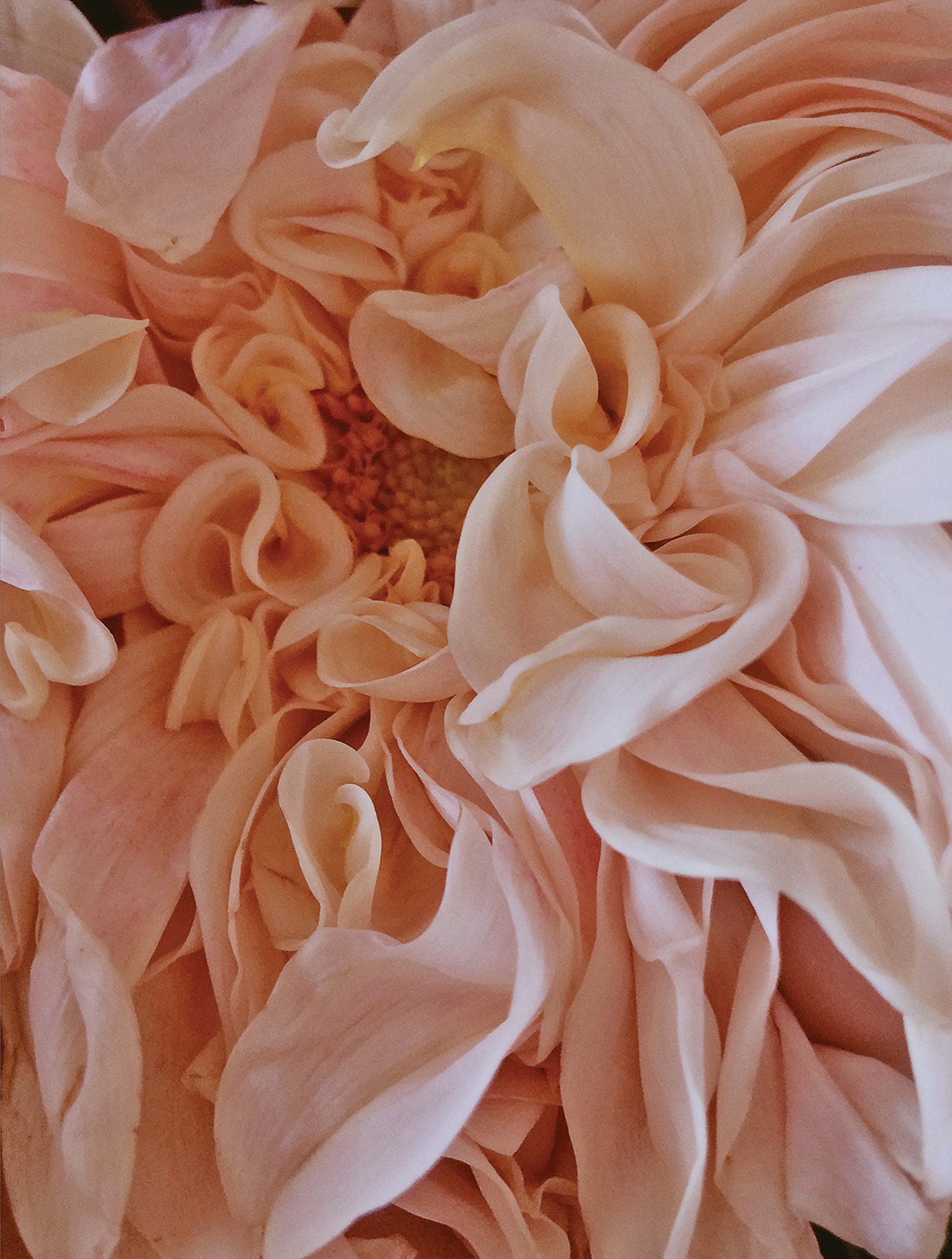 Portraits Riot of Perfume Magazine Charlotte Wales 2023