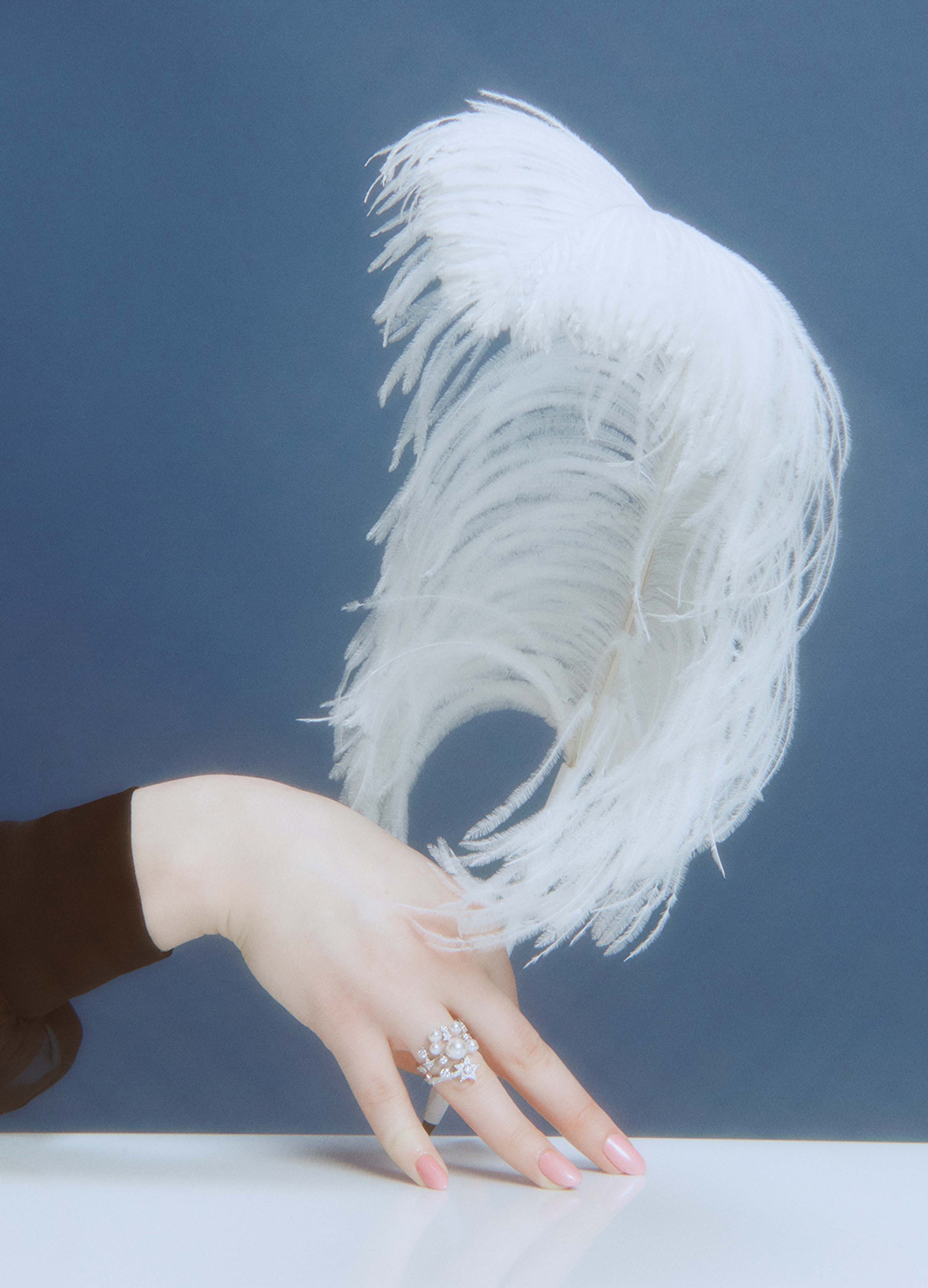 Everything is Illuminated On The Rocks Charlotte Wales 2023