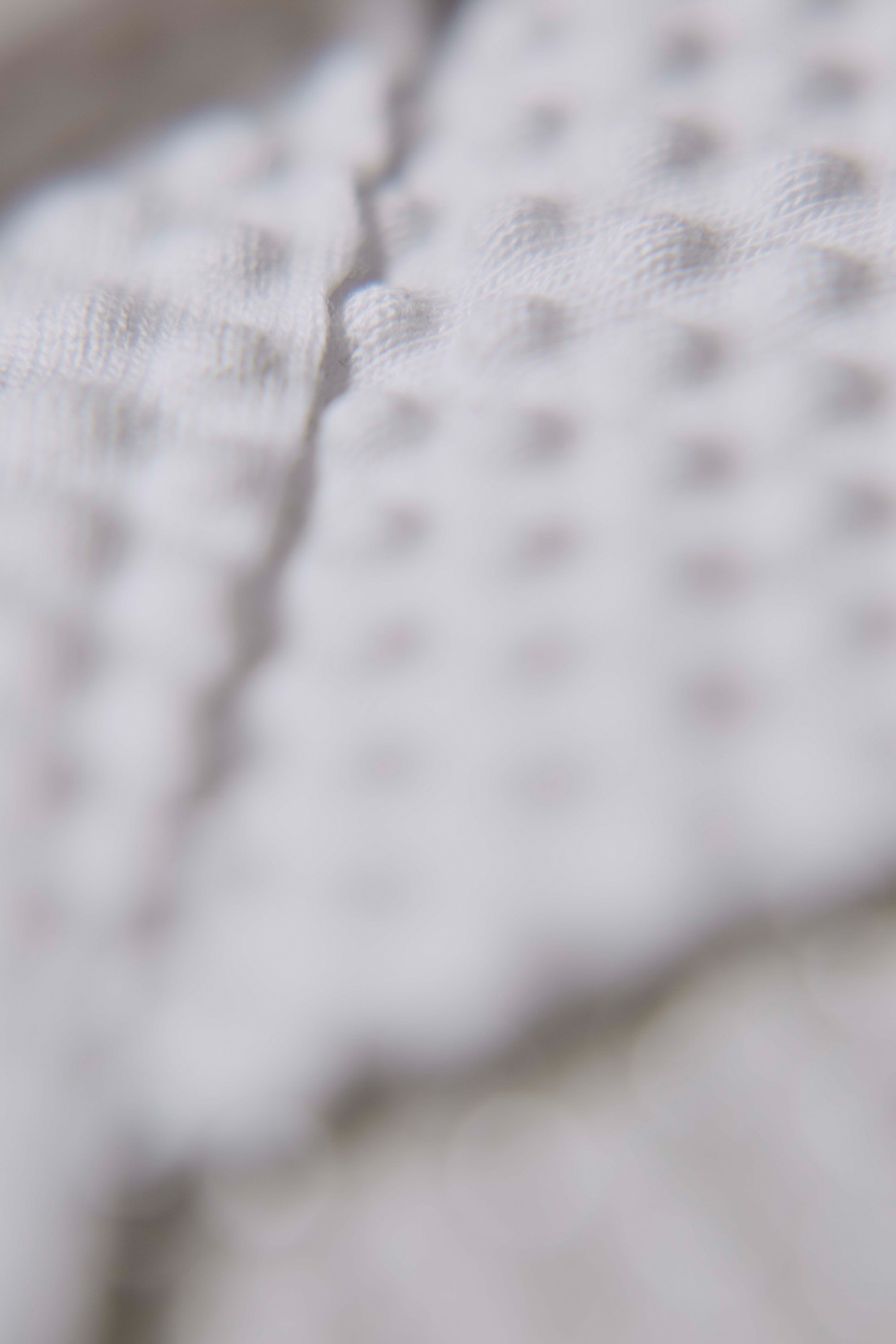 Capsule Collection 2015 Area Charlotte Wales 2023