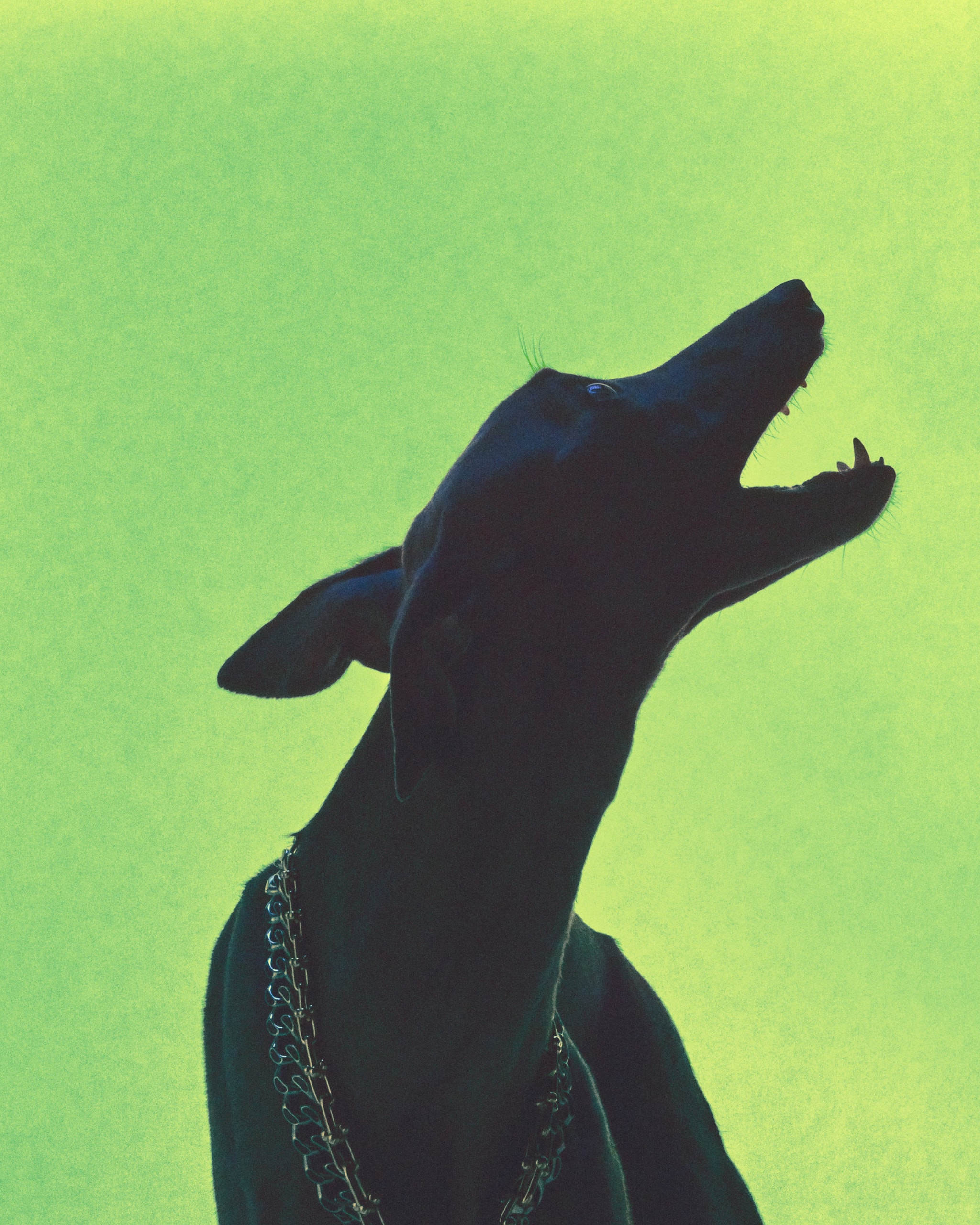 Jewellery / Accessories Editorial Arena Homme + Charlotte Wales 2023