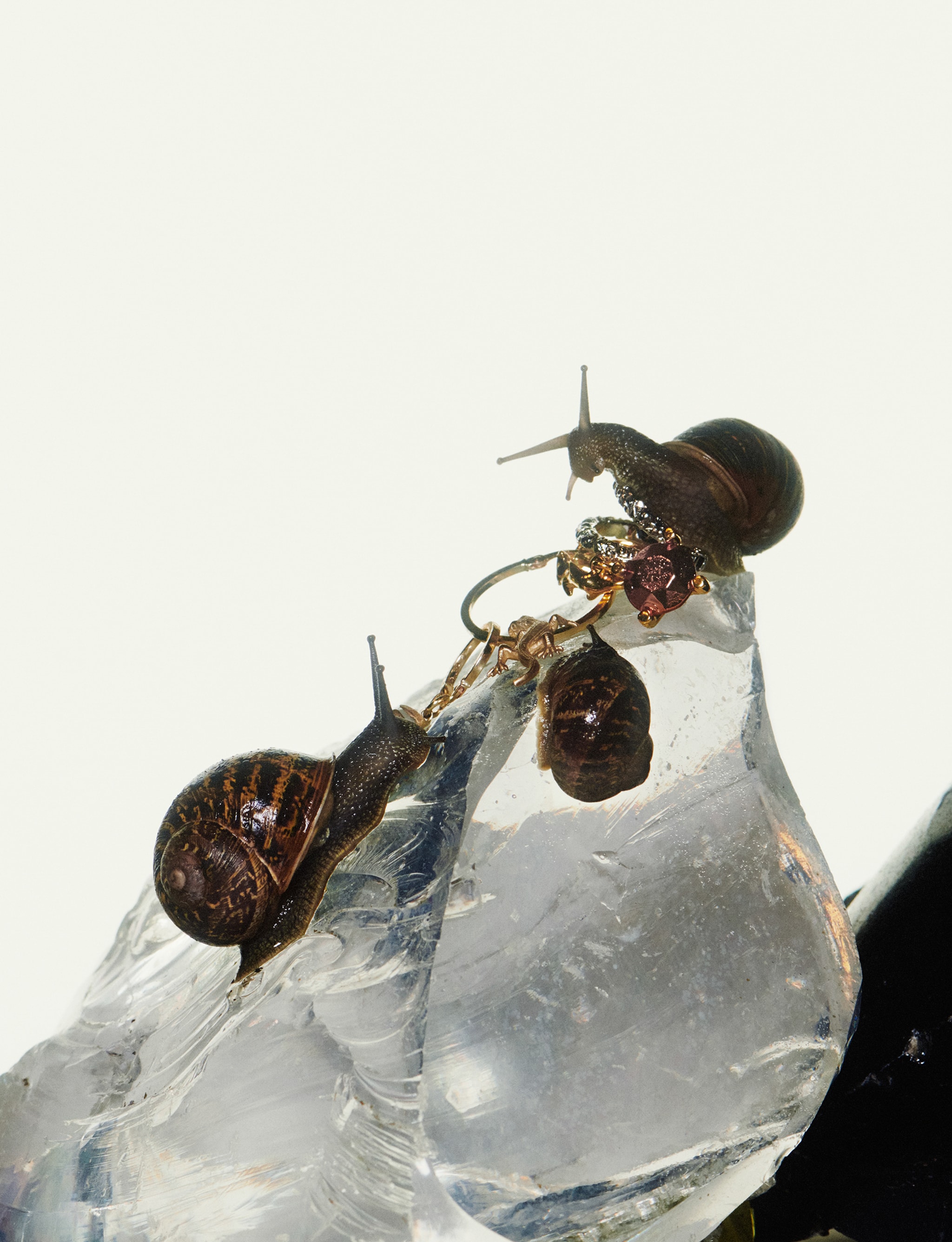 Zoe Kravitz - The Wonder! Pop Magazine Charlotte Wales 2023