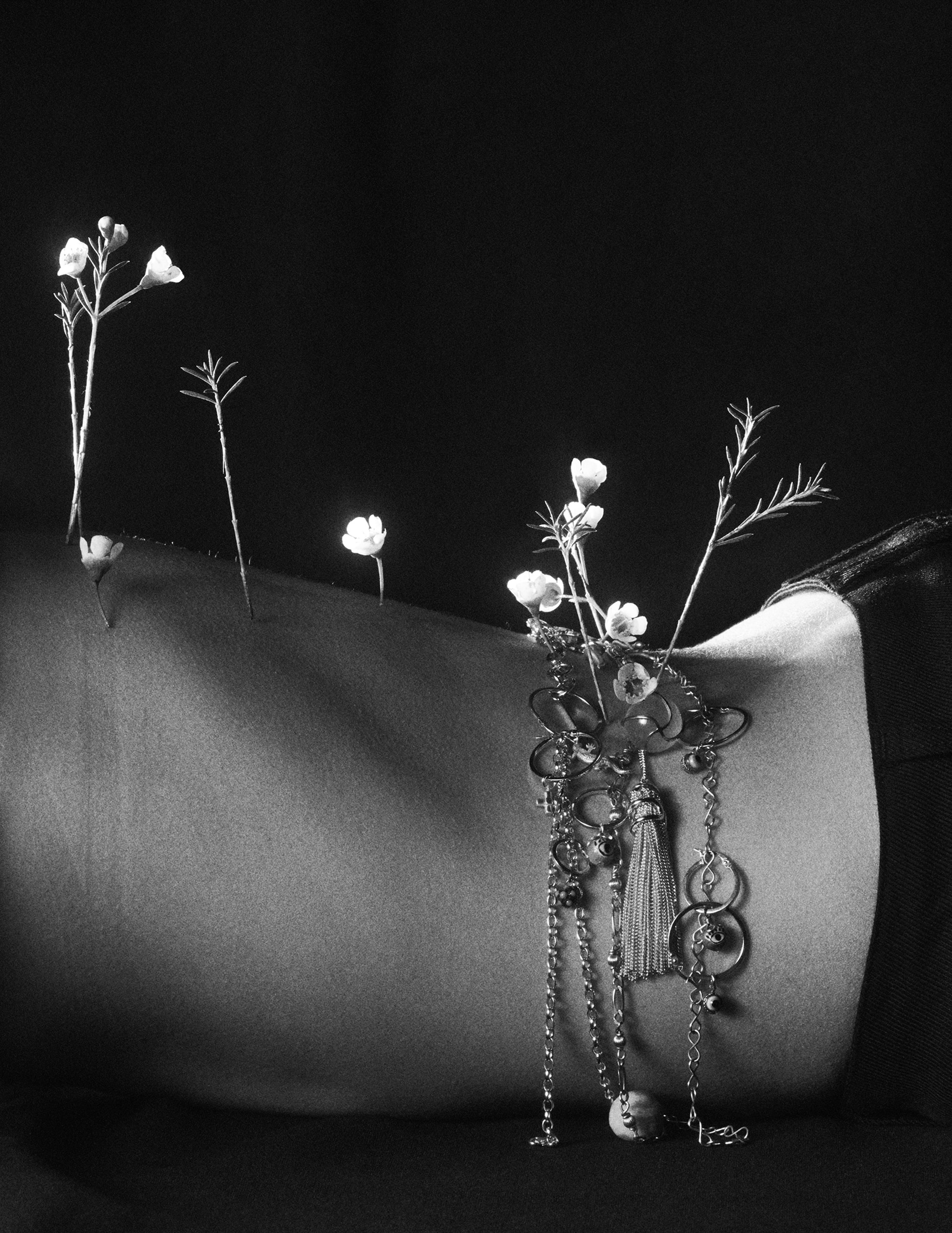 Zoe Kravitz - The Wonder! Pop Magazine Charlotte Wales 2023