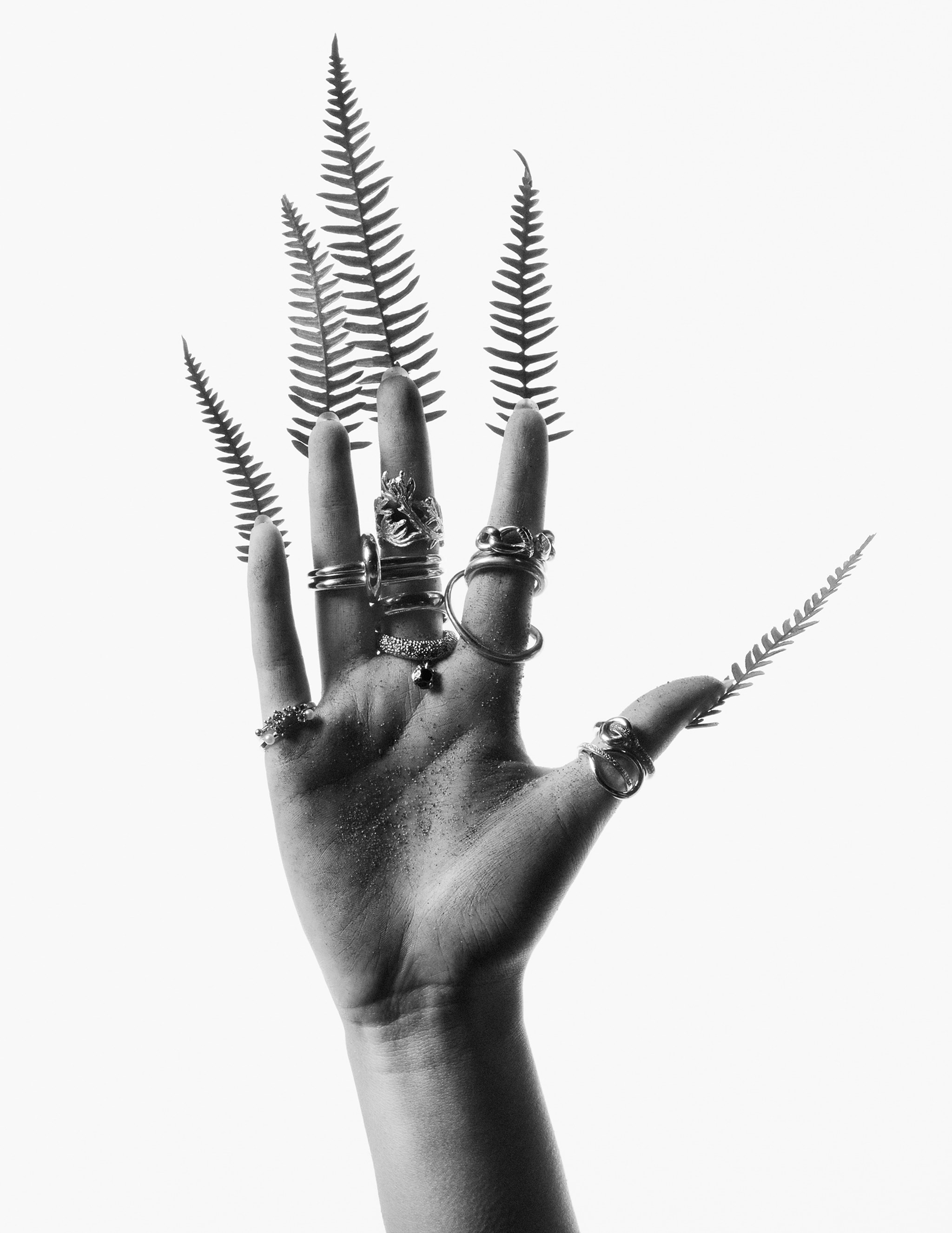 Zoe Kravitz - The Wonder! Pop Magazine Charlotte Wales 2023