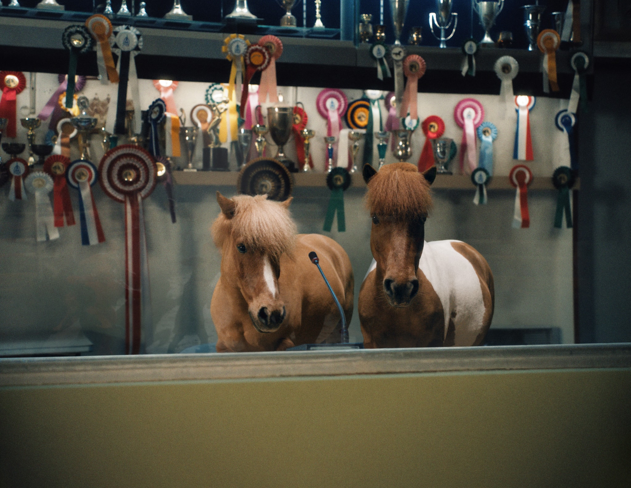 Pony Dance Hermès Charlotte Wales 2026